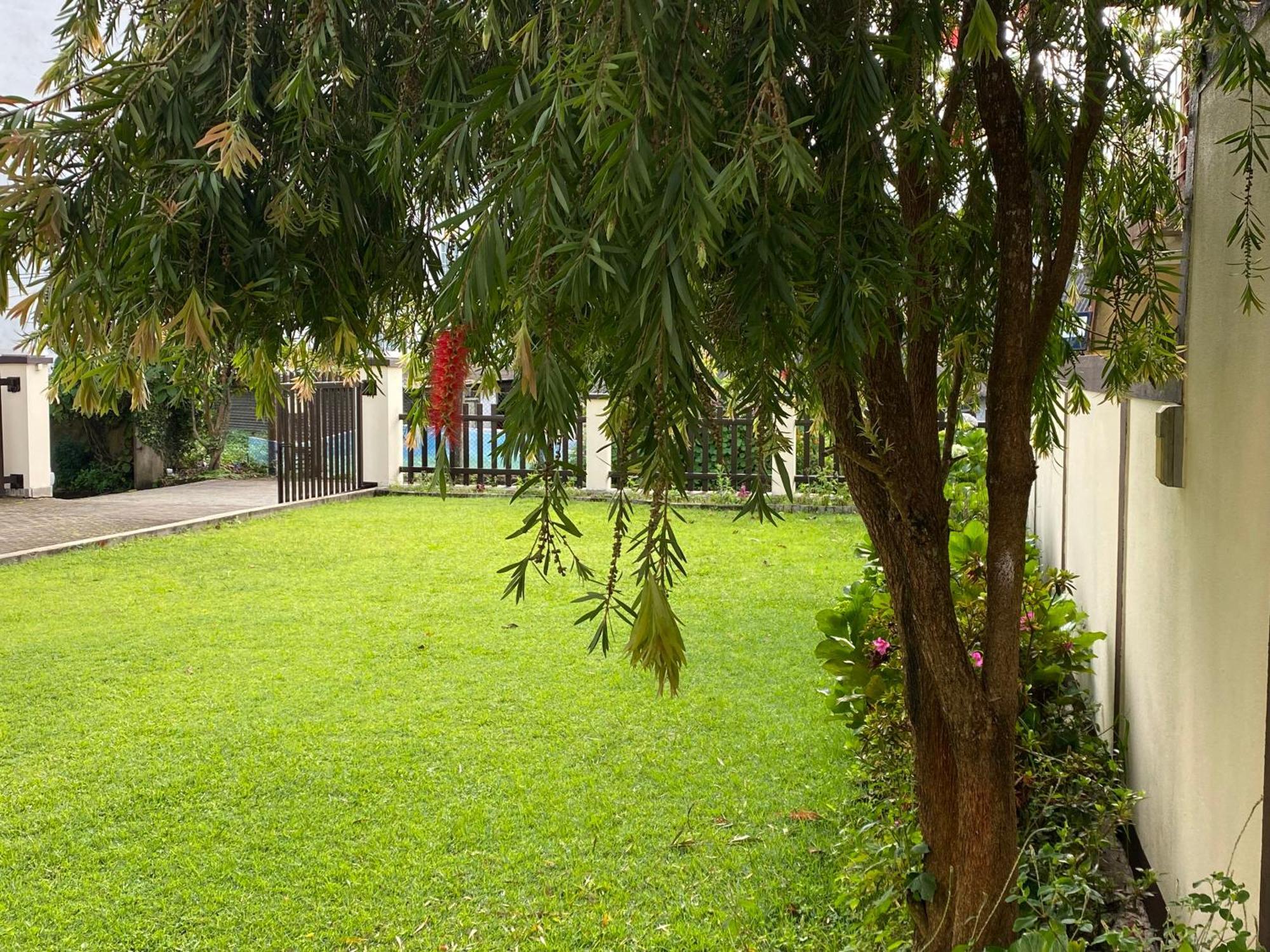 Villa Cassandra Nuwara Eliya Bagian luar foto